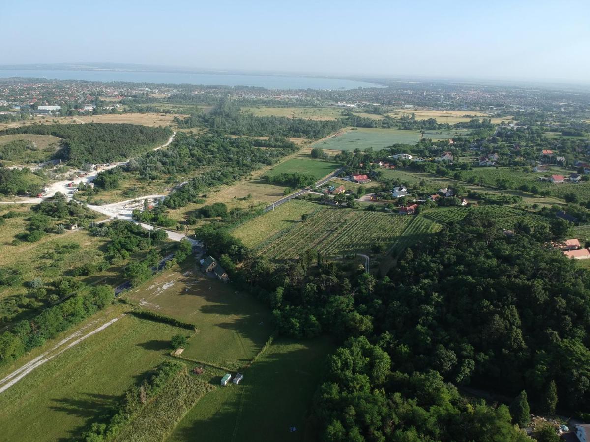 Pilikan Apartments - Park, Agroturism, Vineyard & Farm 切尔塞格托毛伊 外观 照片