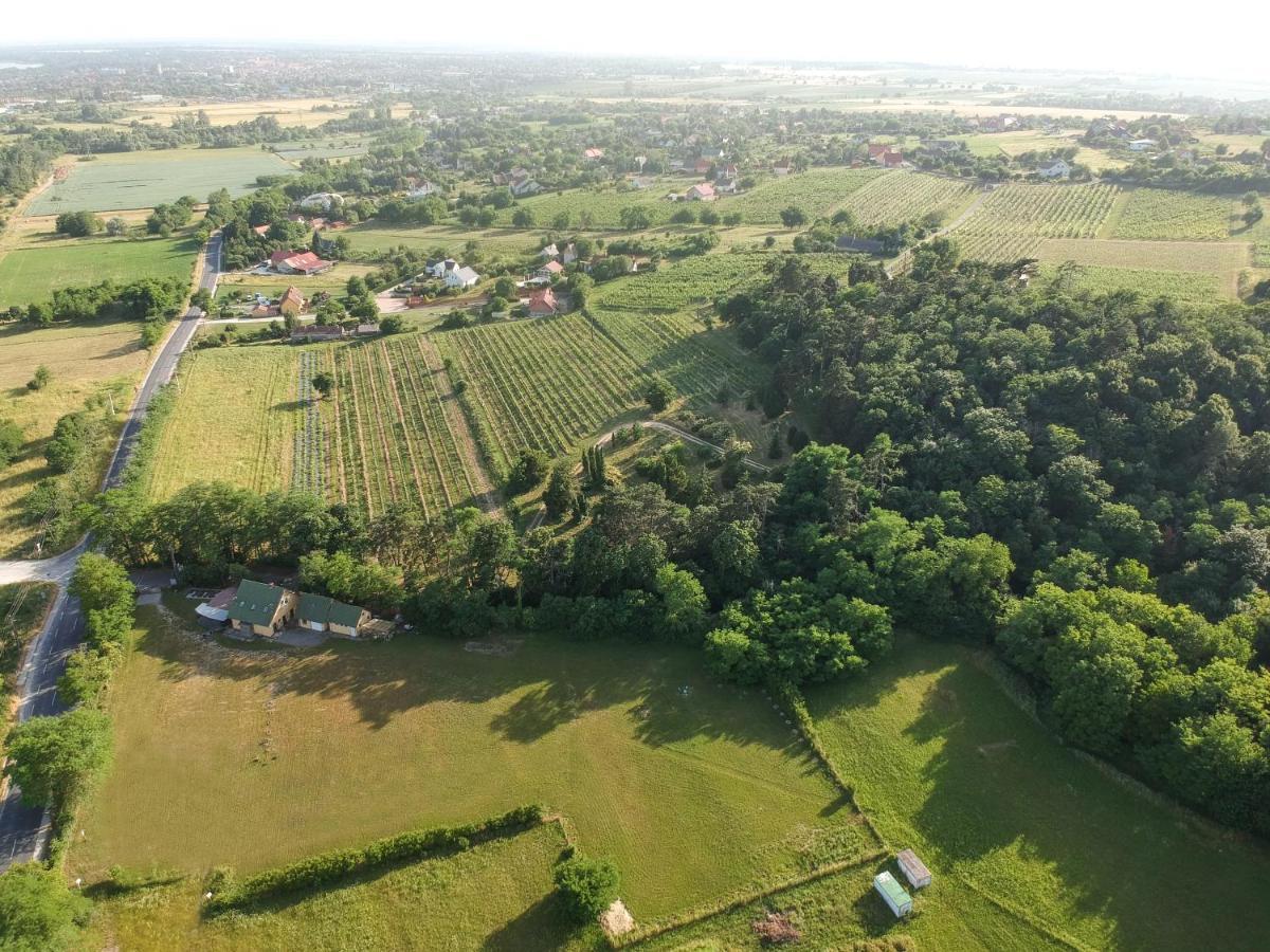 Pilikan Apartments - Park, Agroturism, Vineyard & Farm 切尔塞格托毛伊 外观 照片