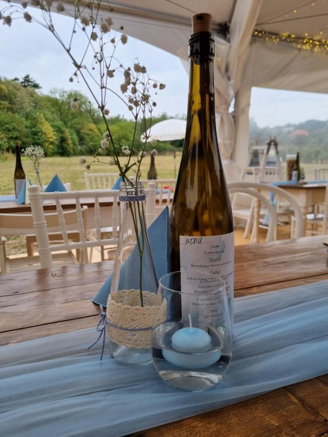 Pilikan Apartments - Park, Agroturism, Vineyard & Farm 切尔塞格托毛伊 外观 照片